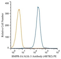 BMPR-IA/ALK-3 Antibody (4B7B2) - BSA Free, Novus Biologicals:Antibodies:Primary