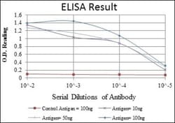 anti-Beclin 1/ATG6, Clone: 2A4, Novus Biologicals 0.1mL; Unlabeled, Quantity: