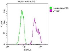 BubR1 Antibody (7H4), Novus Biologicals 100 &mu;g | Buy Online | Novus Biologicals | Fisher Scientific