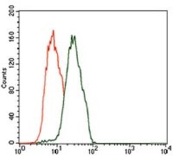 HROB Antibody (7A3A9) - BSA Free, Novus Biologicals 0.1mL; Unlabeled:Antibodies,