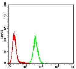 CBX4 Antibody (6C5G3) - BSA Free, Novus Biologicals 0.1mg; Unlabeled:Antibodies,