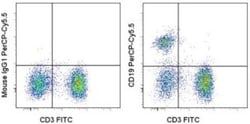 CD19 Antibody (SJ25-C1), Novus Biologicals 0.1mg; Unlabeled:Antibodies,