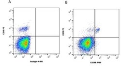 CD200/OX2 Antibody (OX-104) - BSA Free, Novus Biologicals 0.1mg; Unlabeled:Antibodies,