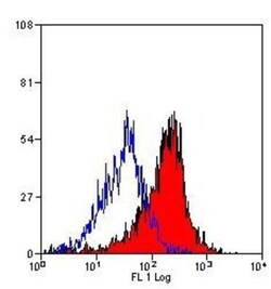 CD200R1 Antibody (OX-110) - BSA Free, Novus Biologicals 0.125 mg; Unconjugated:Antibodies,