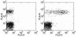 CD23/Fc epsilon RII Antibody (EBVCS2), Novus Biologicals 0.1mg; Unlabeled:Antibodies,