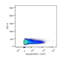 CD23/Fc epsilon RII Antibody (MM0164-2C23) - Azide and BSA Free, Novus