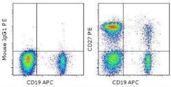 CD27/TNFRSF7 Antibody (O323), Novus Biologicals 0.1mg; Unlabeled:Antibodies,