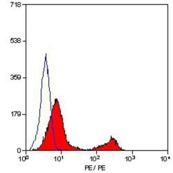 CD3 Antibody (KT3) - BSA Free, Novus Biologicals 0.125 mg; Unconjugated:Antibodies,