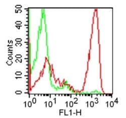 CD3 Antibody (OKT3) - BSA Free, Novus Biologicals:Antibodies:Primary Antibodies