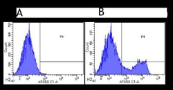 CD3 epsilon Antibody (500A2) - Chimeric - Azide and BSA Free, Novus Biologicals