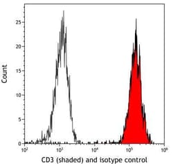 CD3 epsilon Antibody (BLR174J), Novus Biologicals 100 &mu;g; Unconjugated:Antibodies,