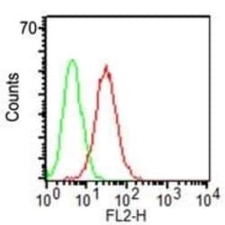 Mouse anti-CD34, Clone: ICO115, Novus Biologicals 0.2mg; Unlabeled:Antibodies,