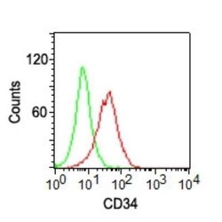 Mouse anti-CD34, Clone: ICO115, Novus Biologicals 0.2mg; Unlabeled:Antibodies,