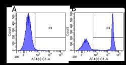 CD4 Antibody (CE9.1 (Clenoliximab)) - Chimeric - Azide and BSA Free, Novus