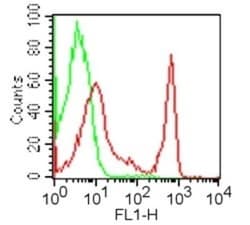 CD4 Antibody (GK1.5) - BSA Free, Novus Biologicals:Antibodies:Primary Antibodies