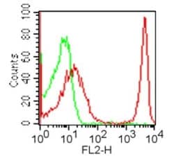 CD4 Antibody (GK1.5) - BSA Free, Novus Biologicals:Antibodies:Primary Antibodies