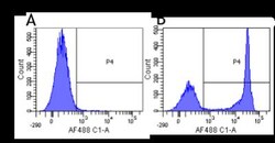 CD4 Antibody (MT310) - Chimeric - Azide and BSA Free, Novus Biologicals:Antibodies:Primary