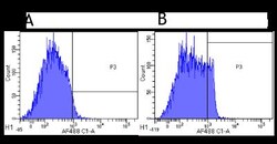 CD4 Antibody (MT310) - Chimeric - Azide and BSA Free, Novus Biologicals:Antibodies:Primary