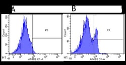 CD4 Antibody (MT310) - Chimeric - Azide and BSA Free, Novus Biologicals:Antibodies:Primary