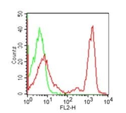 CD4 Antibody (RPA-T4) - Azide and BSA Free, Novus Biologicals 0.025mg;