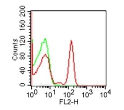 CD4 Antibody (RPA-T4) - Azide and BSA Free, Novus Biologicals 0.025mg;