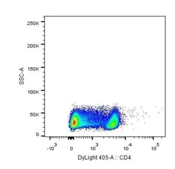 CD4 Antibody (RPA-T4) - Azide and BSA Free, Novus Biologicals 0.025mg;