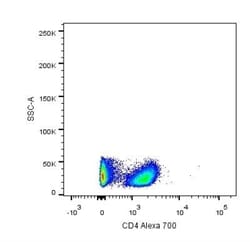 CD4 Antibody (RPA-T4) - Azide and BSA Free, Novus Biologicals 0.025mg;