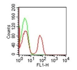 CD4 Antibody (RPA-T4) - Azide and BSA Free, Novus Biologicals 0.025mg;