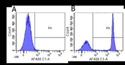 CD4 Antibody (YNB46.1.8 (Campath-9H)) - Chimeric - Azide and BSA Free,