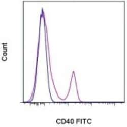 CD40/TNFRSF5 Antibody (5C3) - BSA Free, Novus Biologicals 0.1mg; Unlabeled:Antibodies,