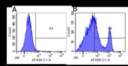 CD40/TNFRSF5 Antibody (G28.5) - Azide and BSA Free, Novus Biologicals 0.2mg;