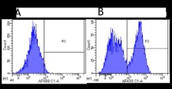 CD40/TNFRSF5 Antibody (G28.5) - Azide and BSA Free, Novus Biologicals 0.2mg;