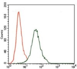 CD5 Antibody (6A11) - BSA Free, Novus Biologicals 0.1mL; Unlabeled:Antibodies,