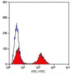 CD5 Antibody (MF7-14.5), Novus Biologicals 100 Tests; Unconjugated:Antibodies,