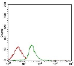 CD74 Antibody (2D1B11) - BSA Free, Novus Biologicals 0.1mL; Unlabeled:Antibodies,