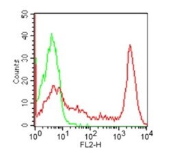 CD8 Antibody (RPA-T8) - Azide and BSA Free, Novus Biologicals 0.025mg;