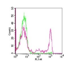 CD8 Antibody (RPA-T8) - Azide and BSA Free, Novus Biologicals 0.025mg;