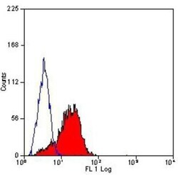 CD81 Antibody (1D6) - BSA Free, Novus Biologicals:Antibodies:Primary Antibodies