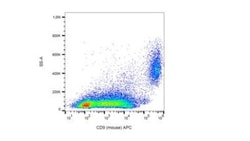 CD9 Antibody (EM-04) - BSA Free, Novus Biologicals 0.1mg; Unlabeled:Antibodies,