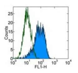 CD90/Thy1 Antibody (5E10) - BSA Free, Novus Biologicals 0.1mg; Unlabeled:Antibodies,