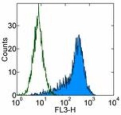 CD90/Thy1 Antibody (5E10) - BSA Free, Novus Biologicals 0.1mg; Unlabeled:Antibodies,