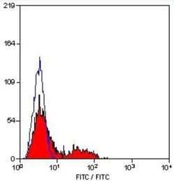 CD94 Antibody (DX22) - BSA Free, Novus Biologicals 0.1 mg; Unconjugated:Antibodies,