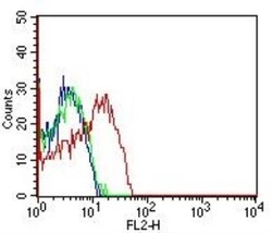 CD98 Antibody (1C11.7E3) - BSA Free, Novus Biologicals 0.025mg; Unlabeled:Antibodies,