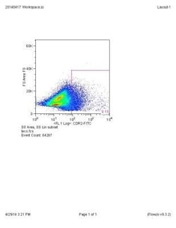 CDR2 Antibody, Novus Biologicals:Antibodies:Primary Antibodies