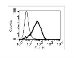 CEACAM1/CD66a Antibody (11-1H) - BSA Free, Novus Biologicals 0.025 mL | Buy Online | Novus Biologicals | Fisher Scientific