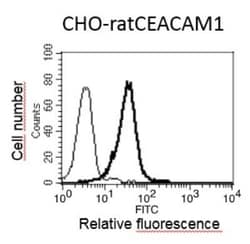 CEACAM1/CD66a Antibody (F7) - BSA Free, Novus Biologicals:Antibodies:Primary