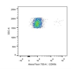 CEACAM8/CD66b Antibody (G10F5), Novus Biologicals 0.1mg; Unlabeled:Antibodies,