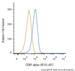 CEBP alpha Antibody (4E10) - BSA Free, Novus Biologicals:Antibodies:Primary
