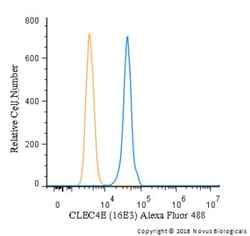 CLEC4E Antibody (16E3) - BSA Free, Novus Biologicals 0.1mL; Unlabeled:Anticorps,