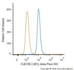 CLEC4E Antibody (16E3) - BSA Free, Novus Biologicals 0.1mL; Unlabeled:Anticorps,